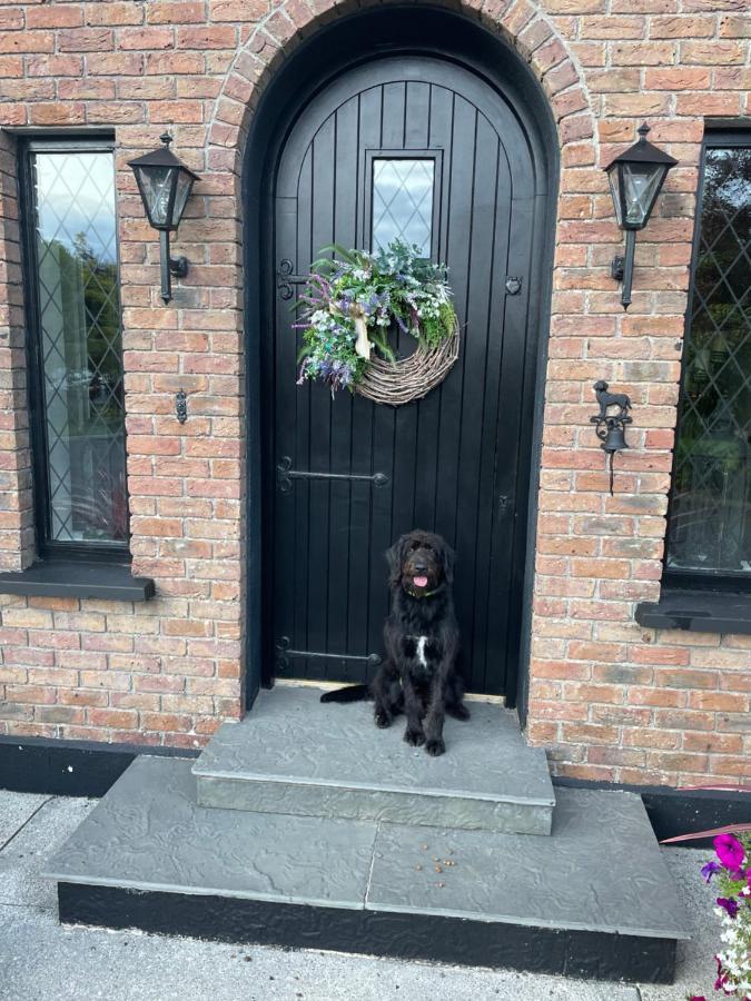 Venetia House - Small Guesthouse Galway Exterior photo