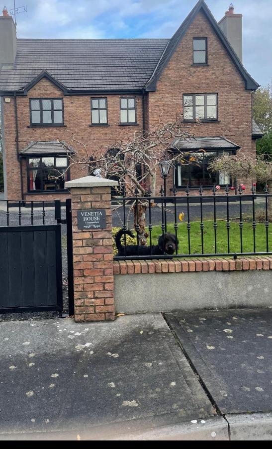 Venetia House - Small Guesthouse Galway Exterior photo